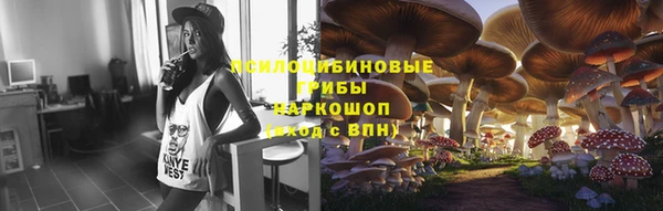 молекула духа Дмитровск