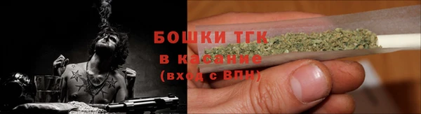 прущая мука Дмитриев