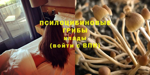 ГАЛЛЮЦИНОГЕННЫЕ ГРИБЫ Елабуга