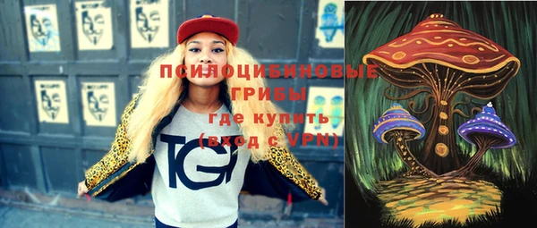 молекула духа Дмитровск