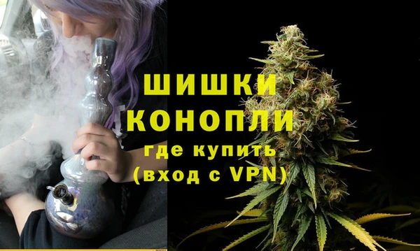 прущая мука Дмитриев